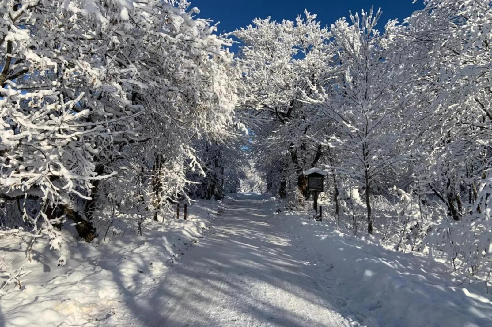 Bergfreunde-Gebied winter 20km