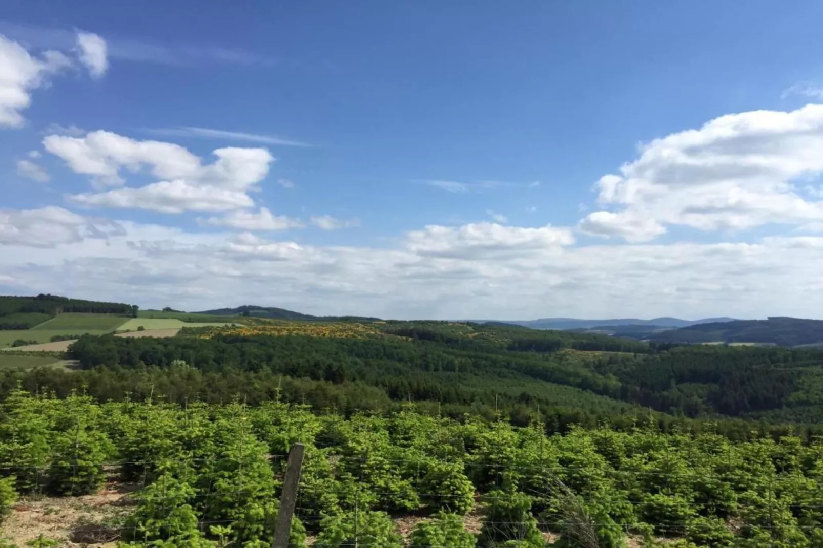 Freiblick-Gebieden zomer 20km