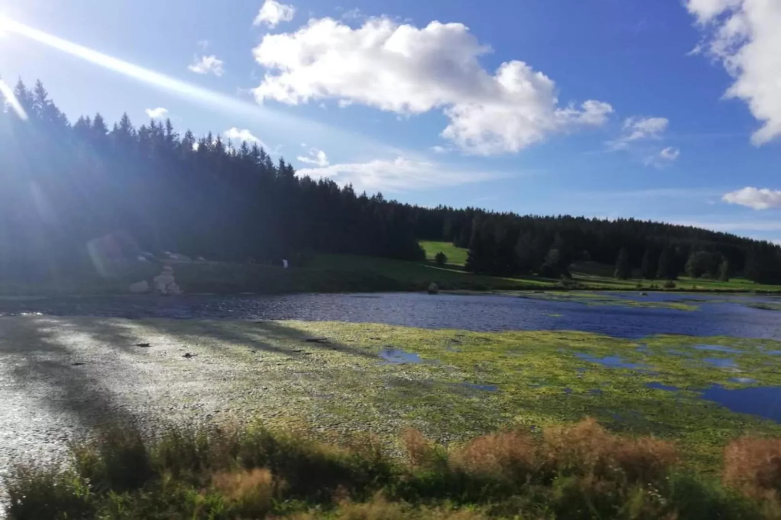 Vakantiehuis in Bestwig met eigen tuin-Gebieden zomer 20km