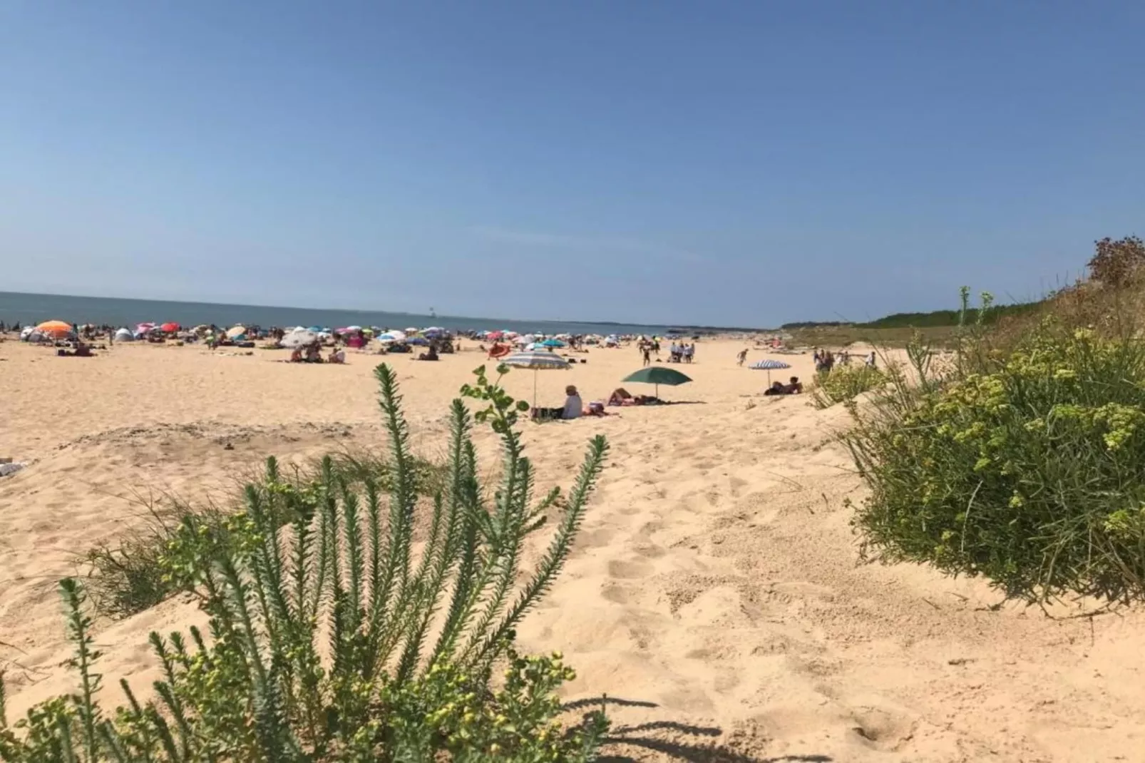 Les Carrelets 1-Gebieden zomer 5km