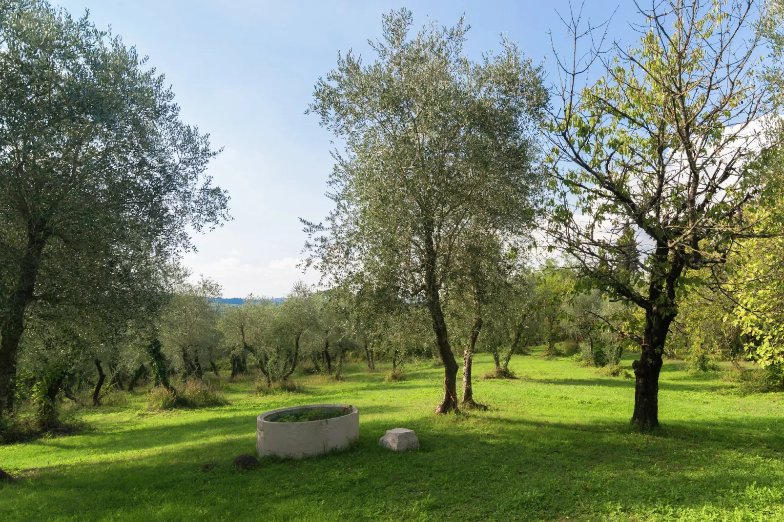 Casa Prati-Tuinen zomer