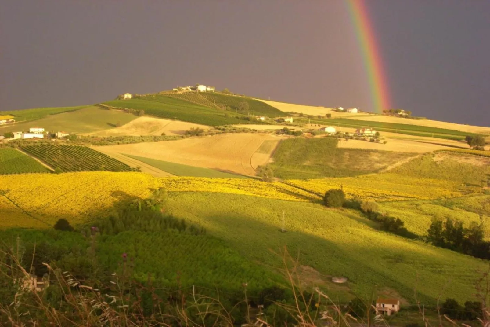 Casale le Querce-Gebieden zomer 20km