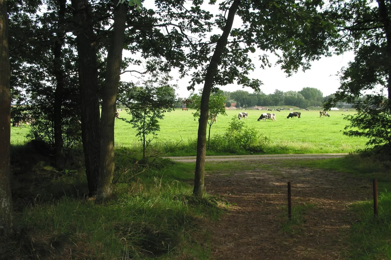 Vakantiepark Herperduin 16-Parkfaciliteiten