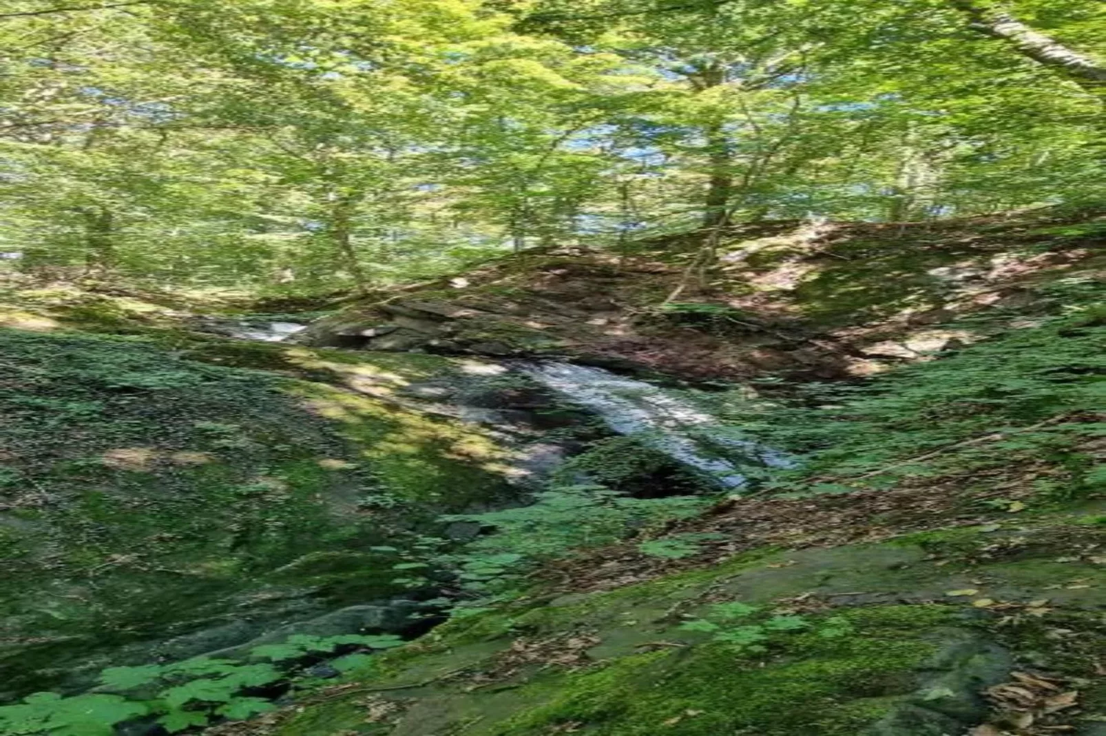 Chalet am Bergflüsschen-Gebieden zomer 20km