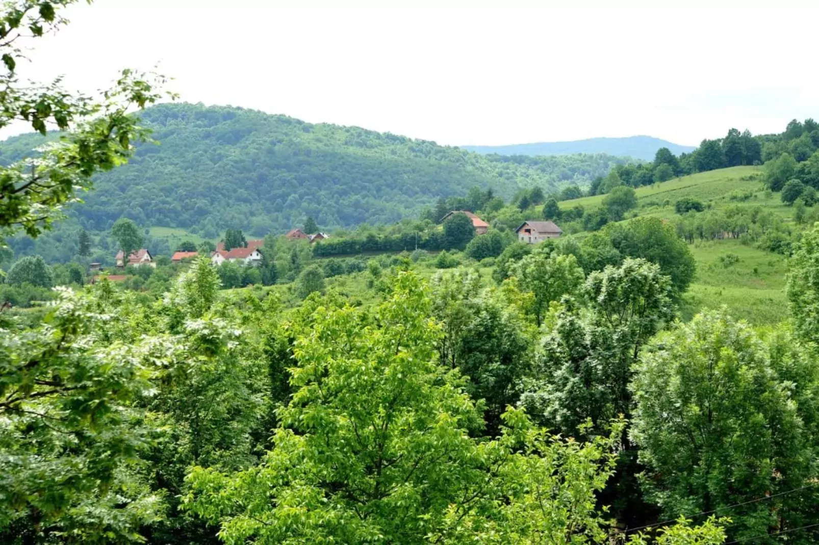 Apartment Jelena 2-Gebieden zomer 20km