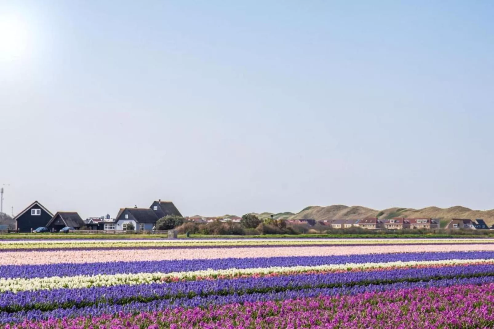 Resort Beach Houses Julianadorp 1-Gebieden zomer 5km