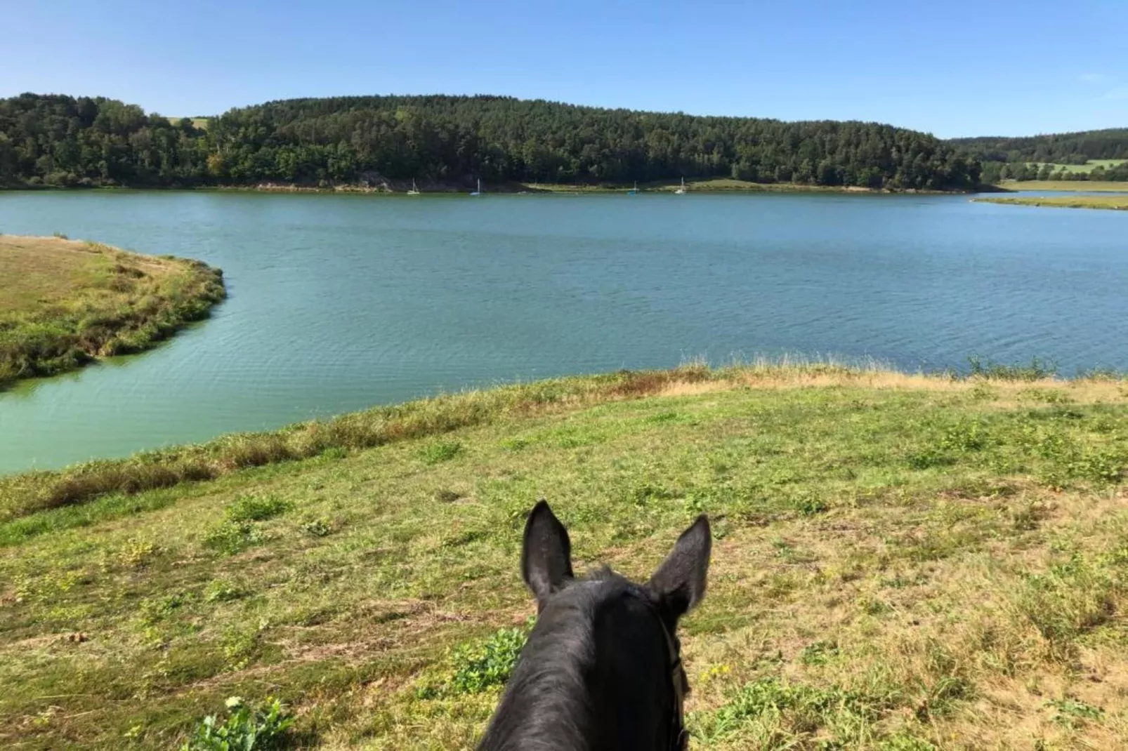 FERIENDORF SEEBLICK - Tiny Chalet am Eixendorfer See-Gebieden zomer 20km