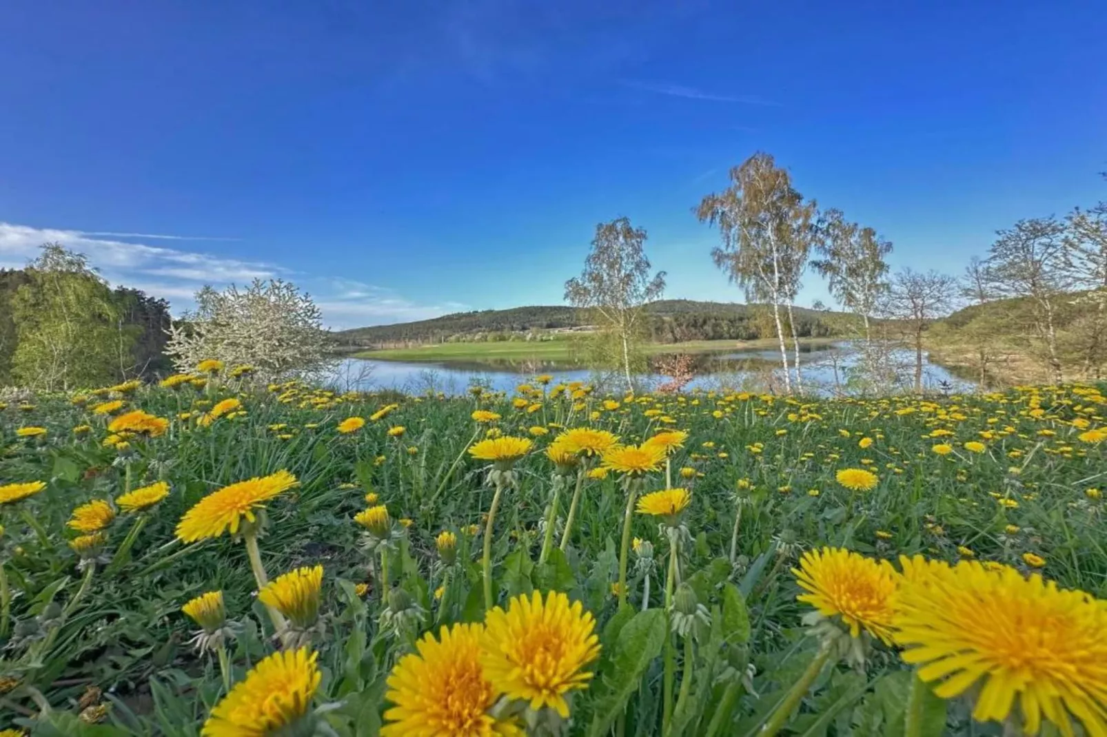 FERIENDORF SEEBLICK - Tiny Chalet am Eixendorfer See-Gebieden zomer 20km