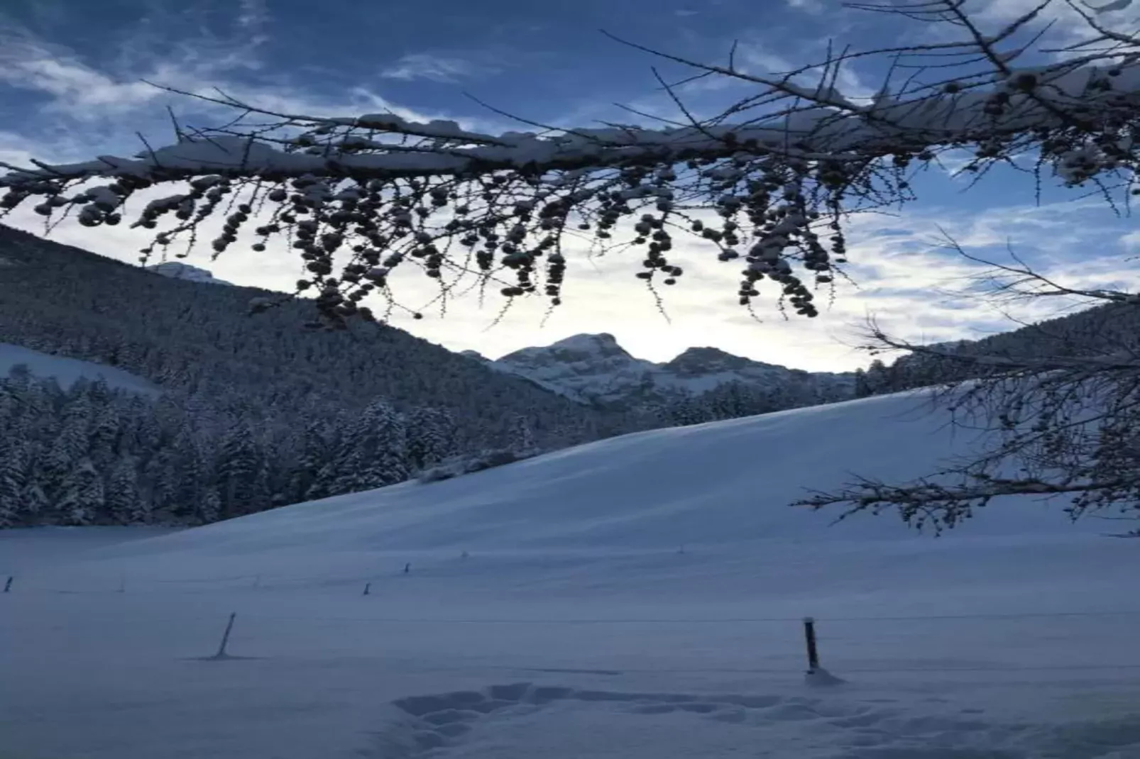 Beautiful Modern Chalet in the Gstaad Region-Gebieden zomer 5km