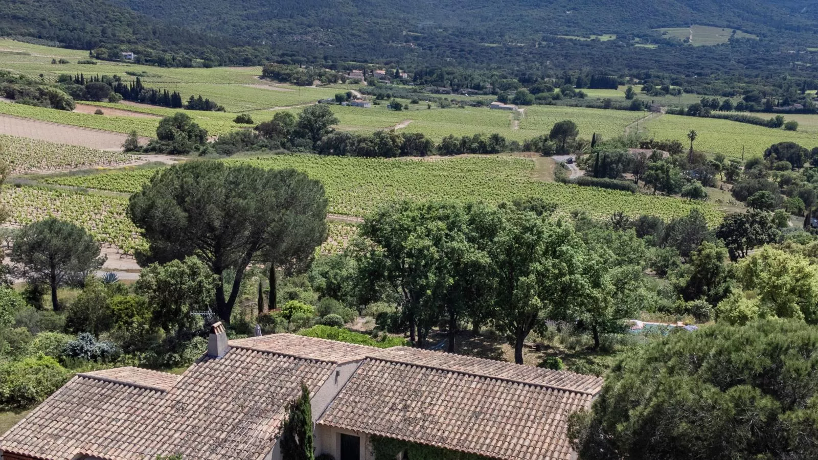 Entre les vignes-Gebieden zomer 1km