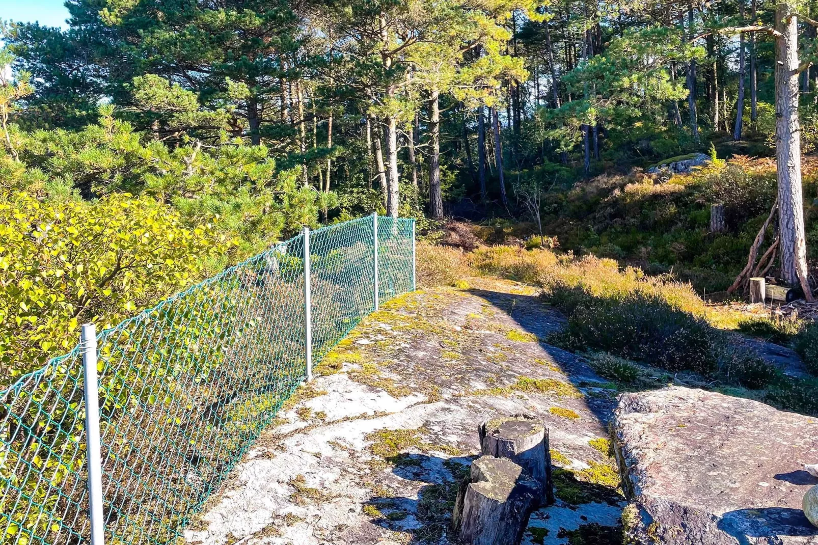 7 Personen vakantie huis in Hjelmeland-Buitenlucht