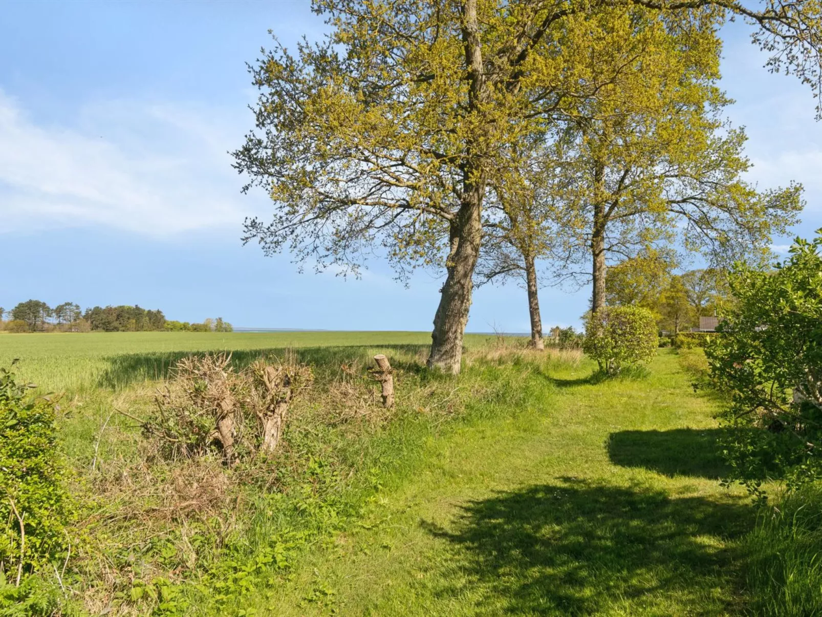 "Todor" - 400m from the sea-Buiten