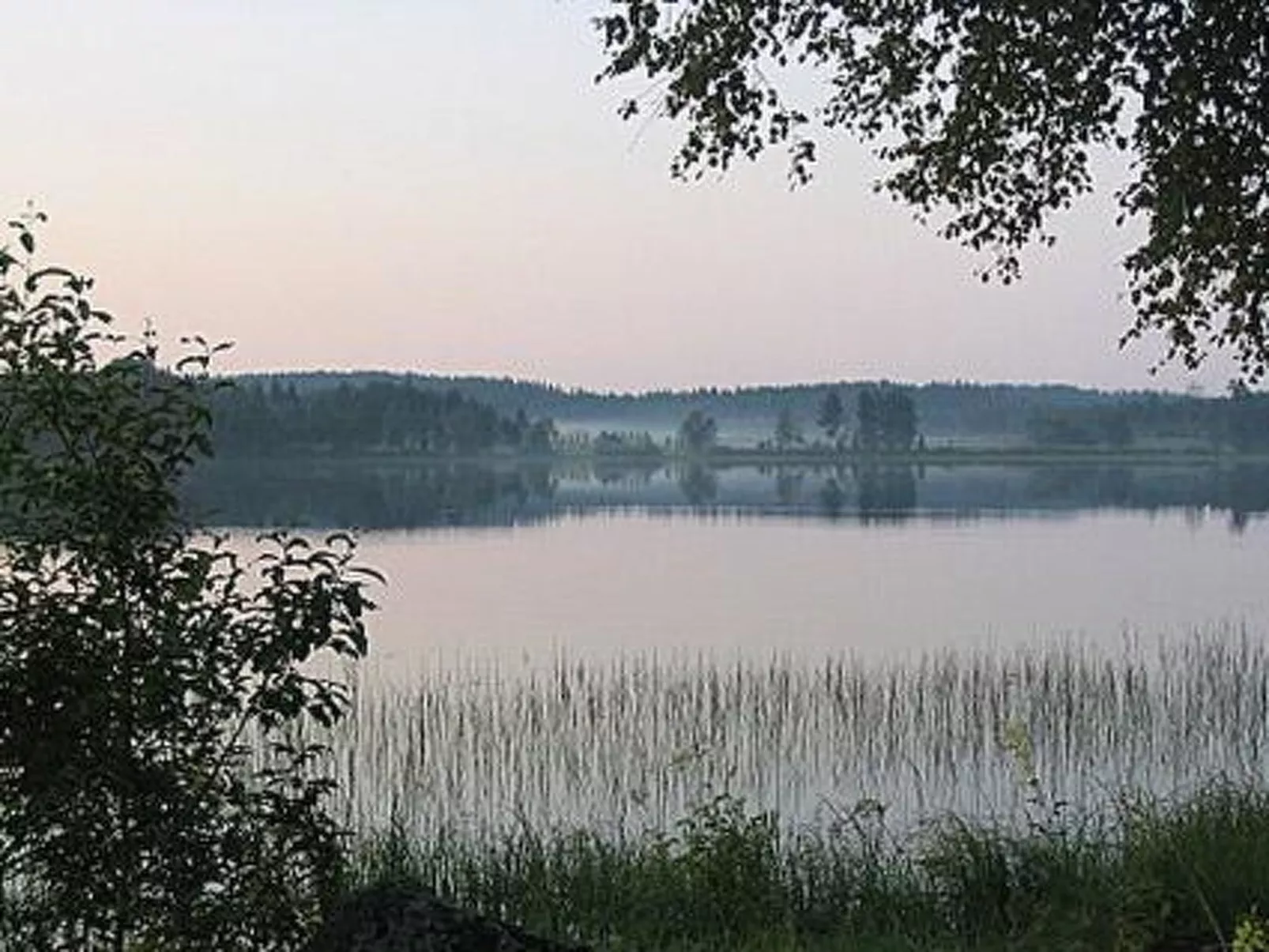 Villiruusu-Buiten
