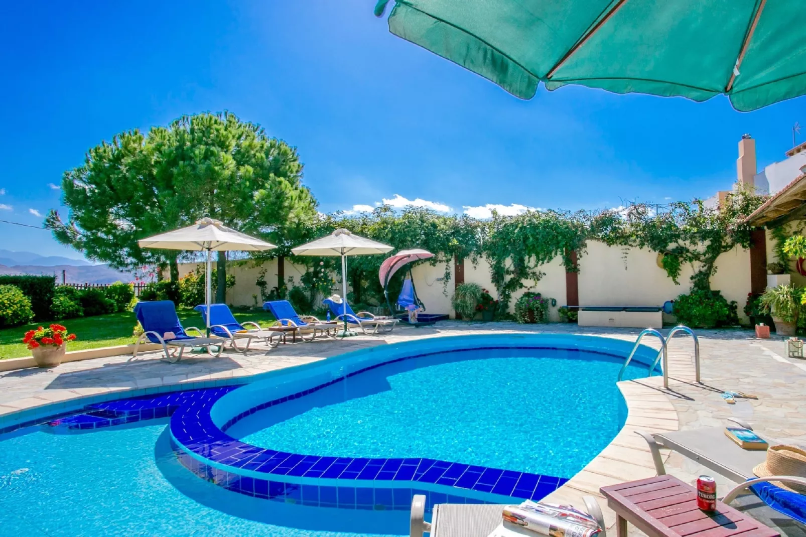 Villa Agapi-Zwembad