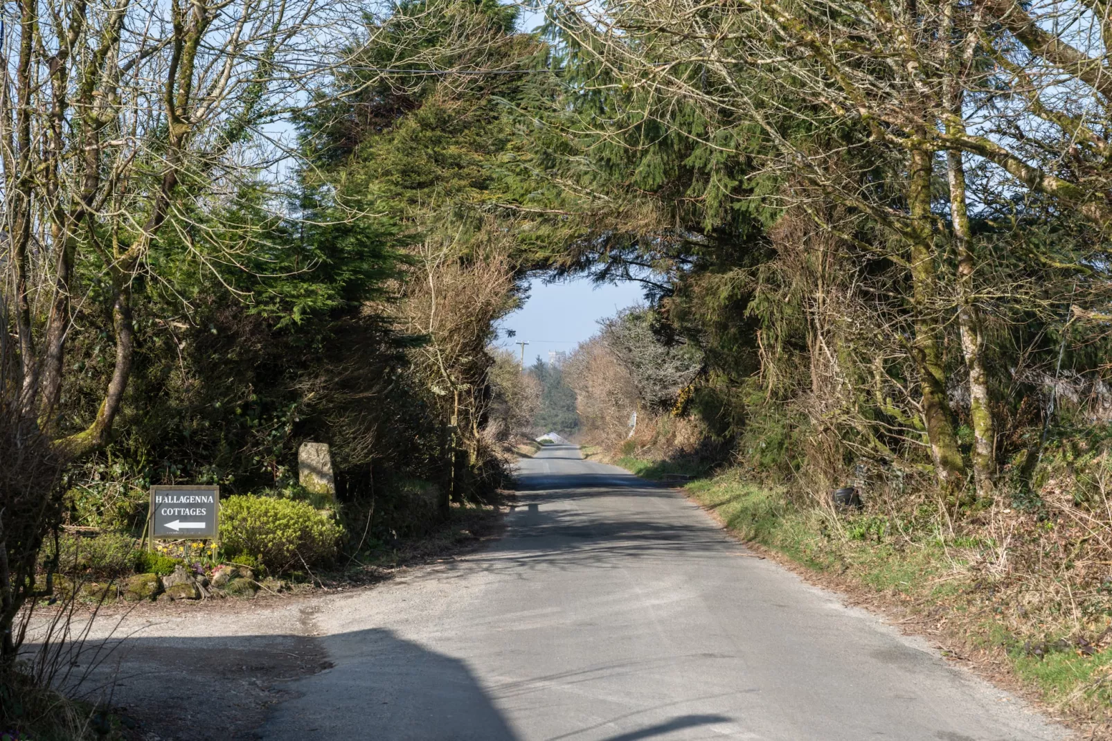 Trippet Cottage at Bodmin Moor-Gebieden zomer 5km