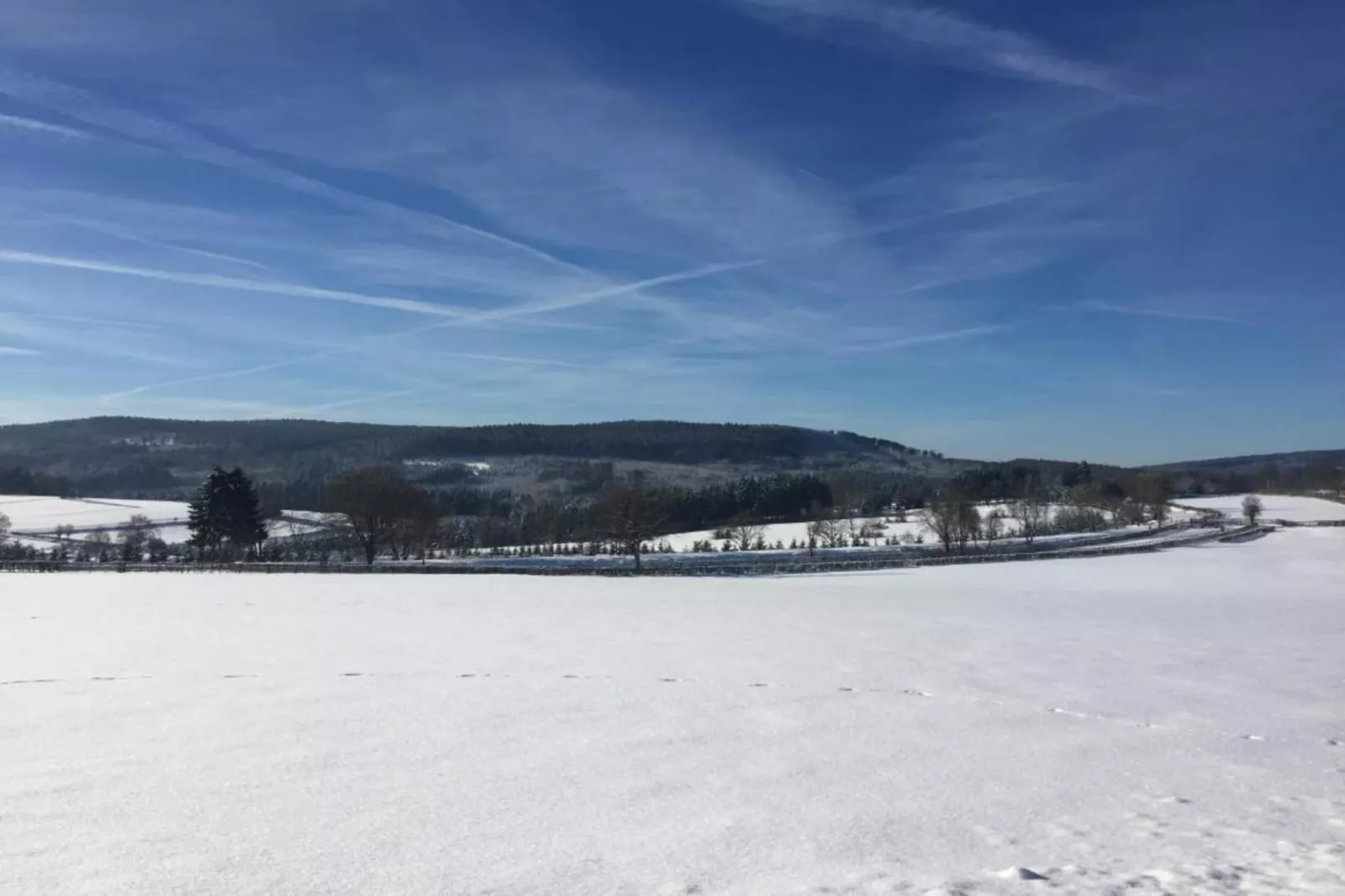 Wood Dream-Gebied winter 20km