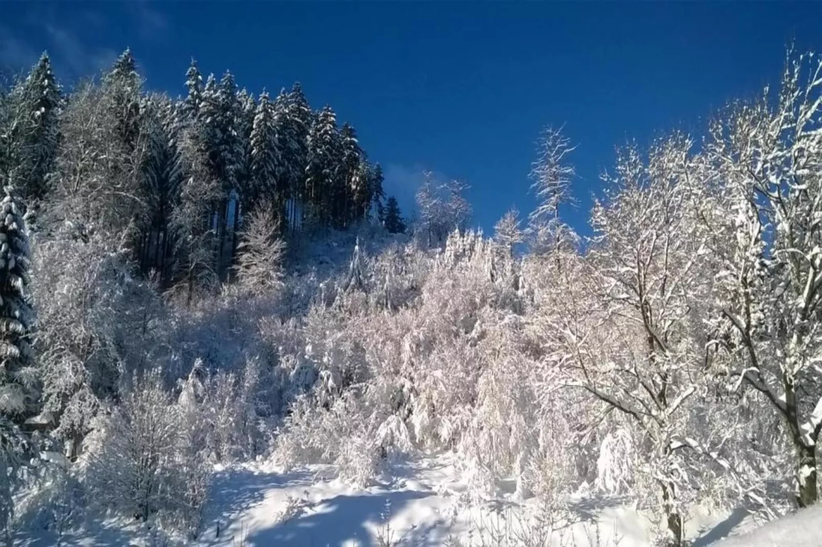 Haus Tori-Gebied winter 20km