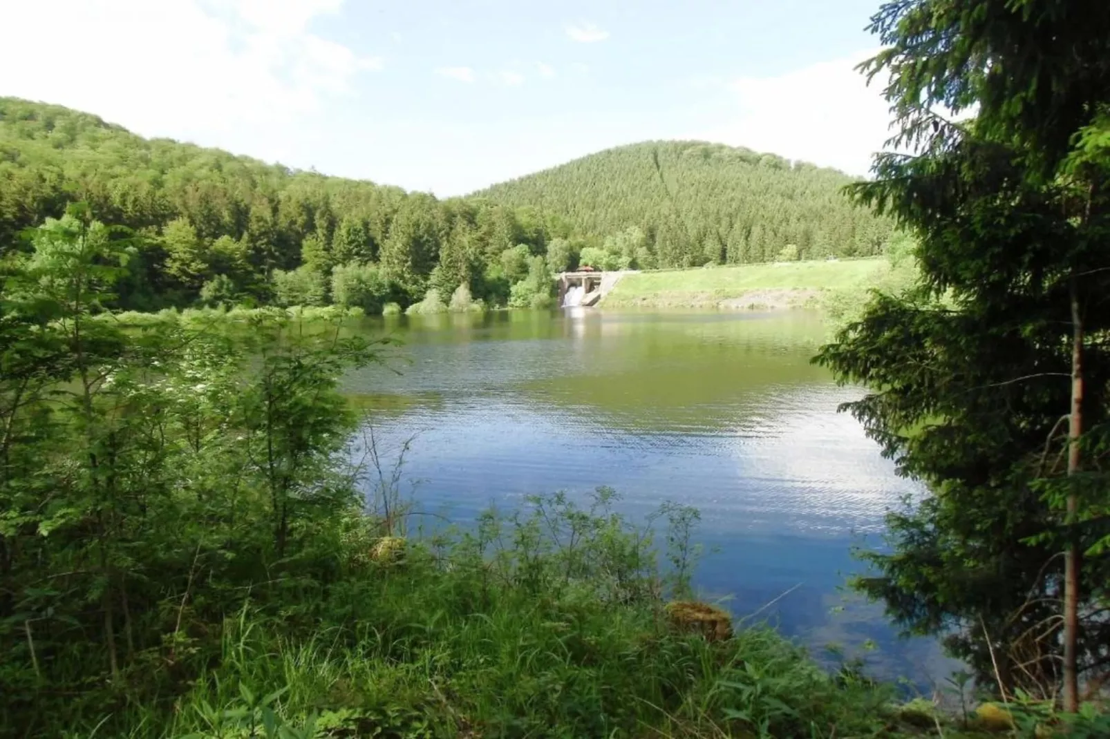 Hahnenklee 608 - Bergseite-Gebieden zomer 20km