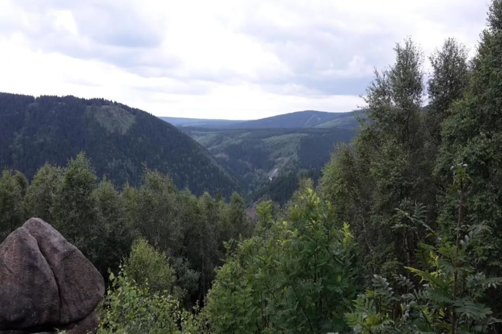 Waldferienhaus-Gebieden zomer 20km