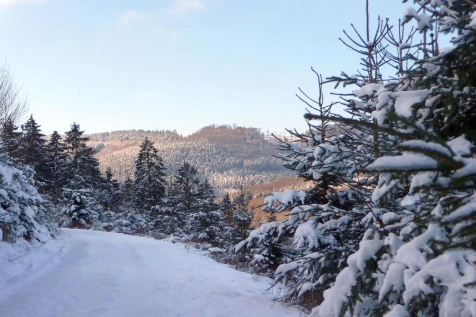 Eslohe-Gebied winter 20km