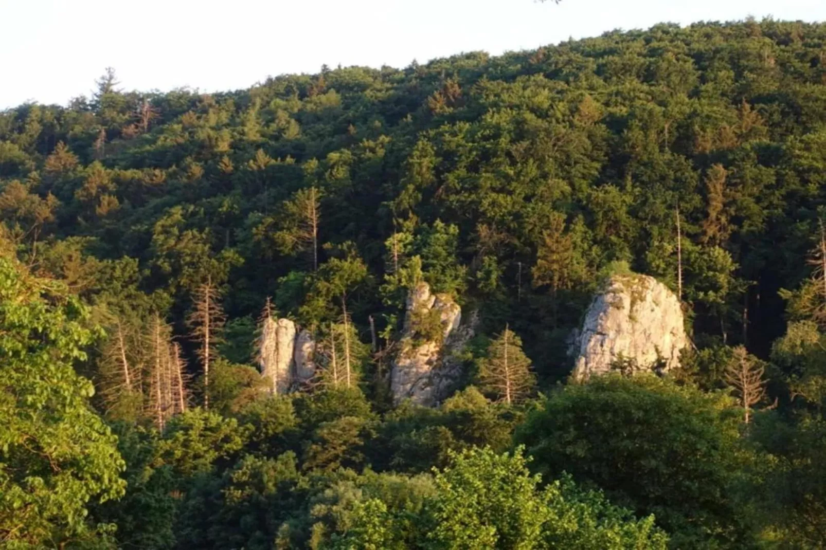 Im Altmühltal-Gebieden zomer 20km