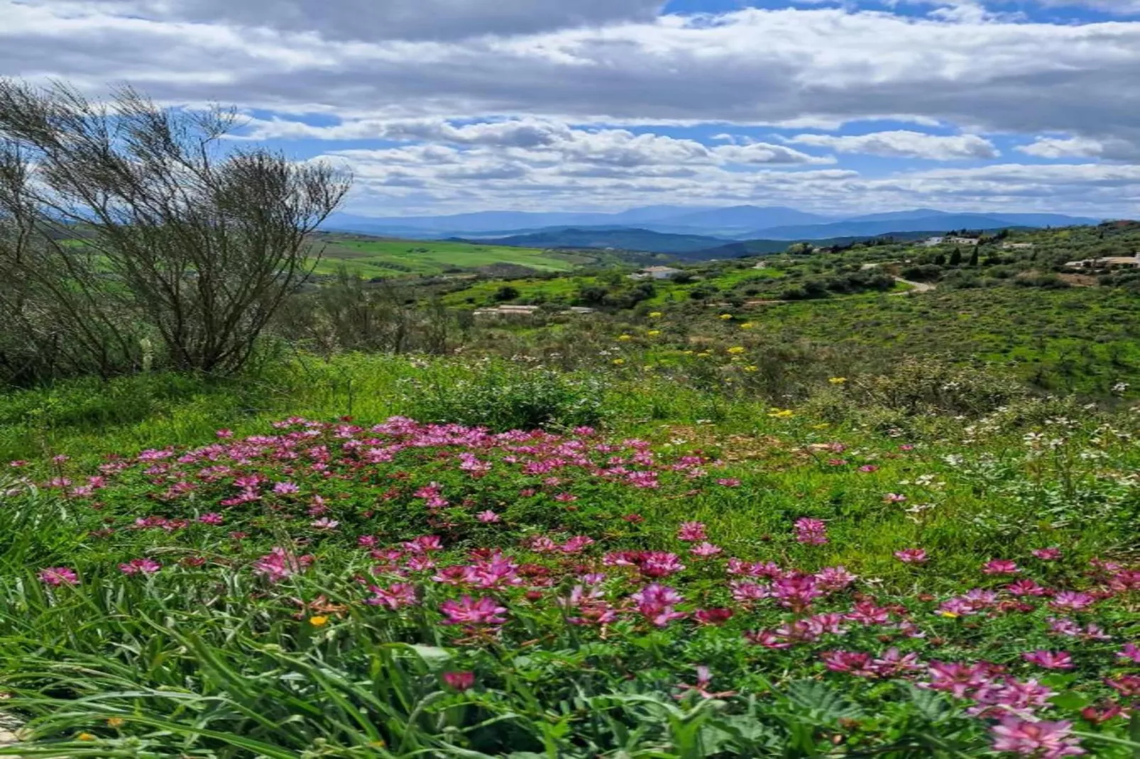 Casa Villa Campito-Gebieden zomer 20km