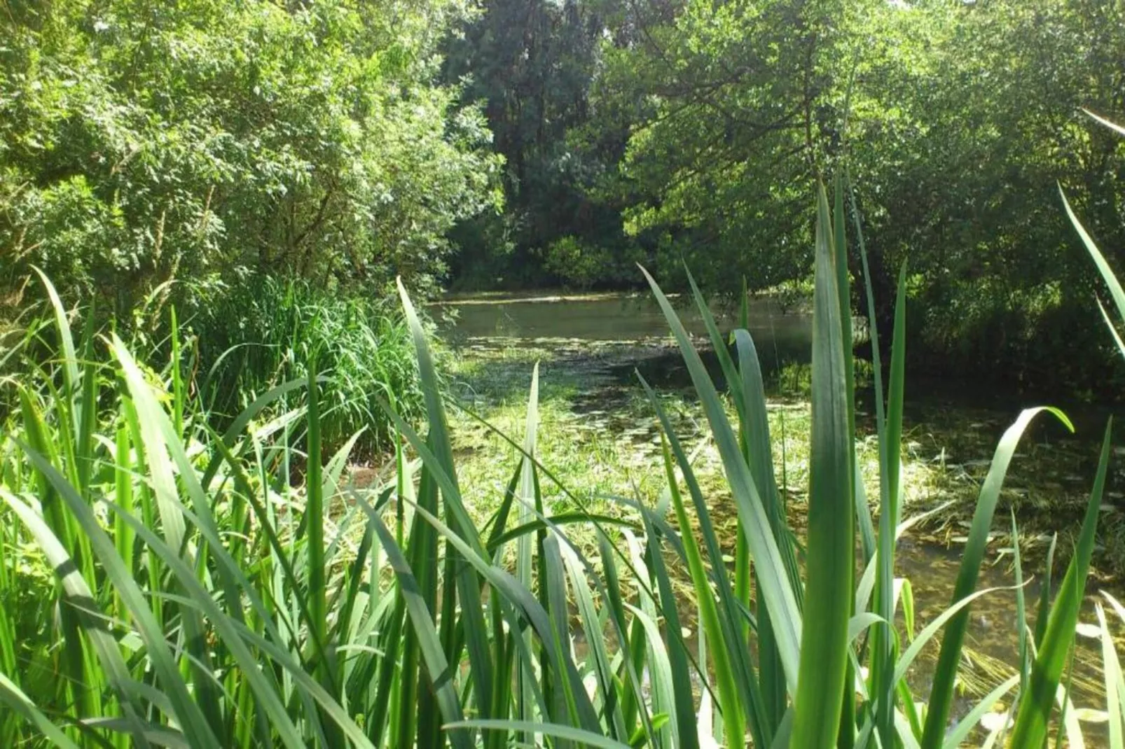 Residence Les Jardins Renaissance 1-Gebieden zomer 5km
