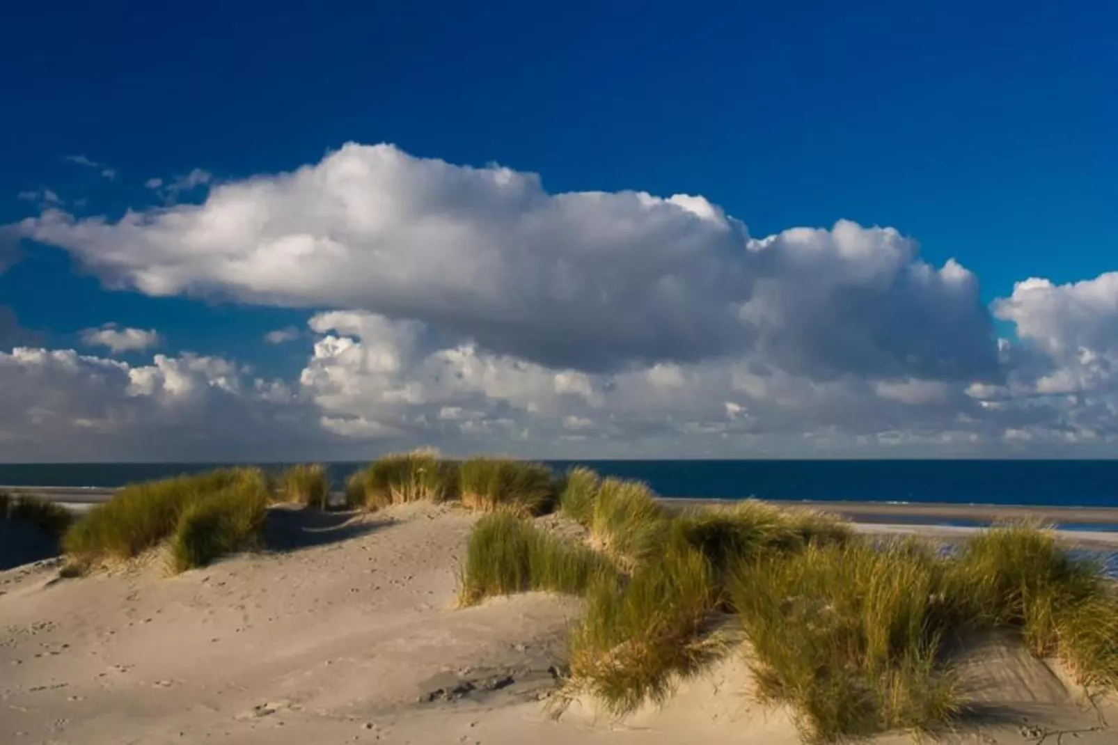 Fort den Haak - Chalet 1 tm 15  hond-Gebieden zomer 5km