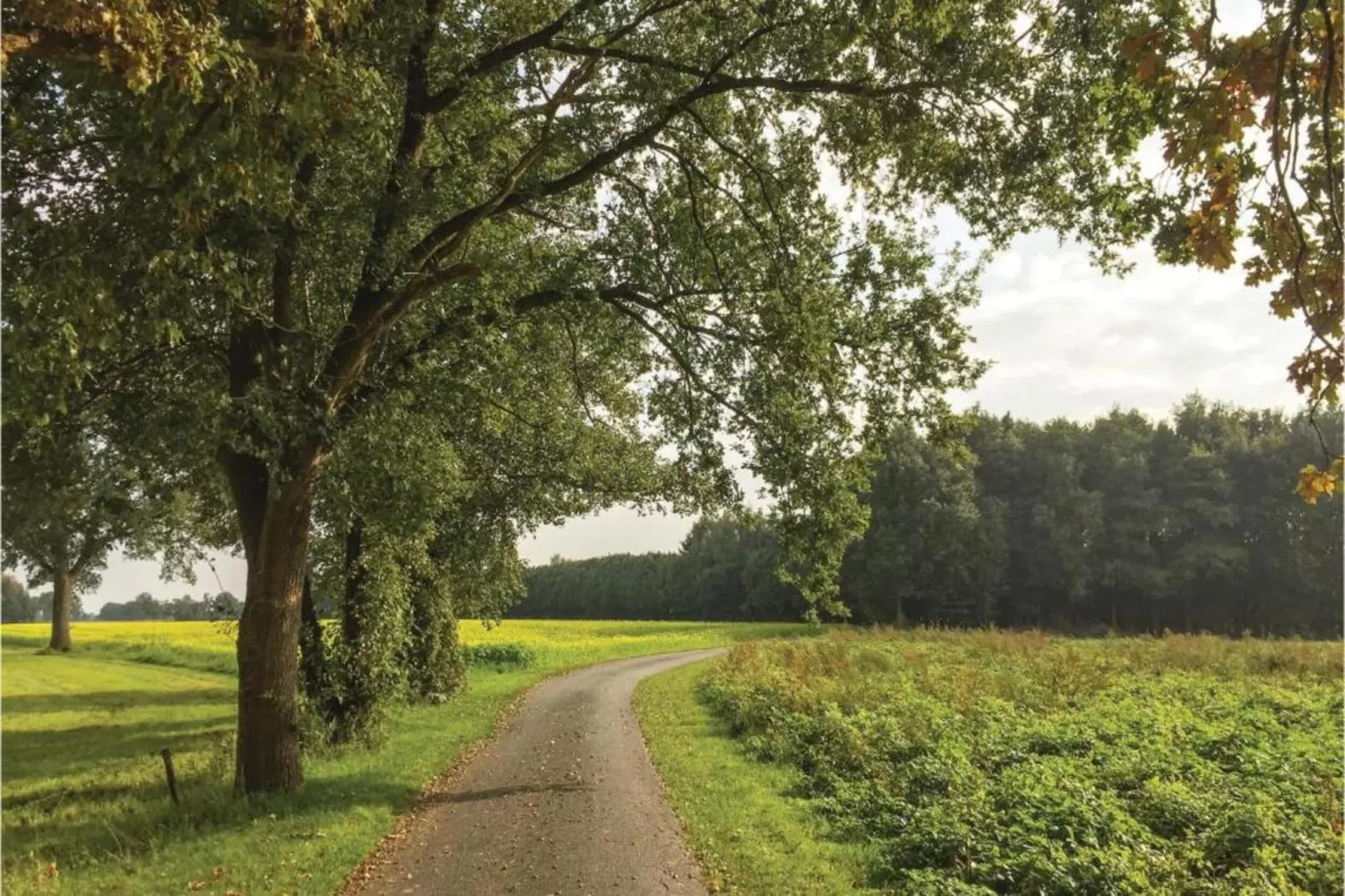 Kabinet & Dekenkist-Gebieden zomer 20km