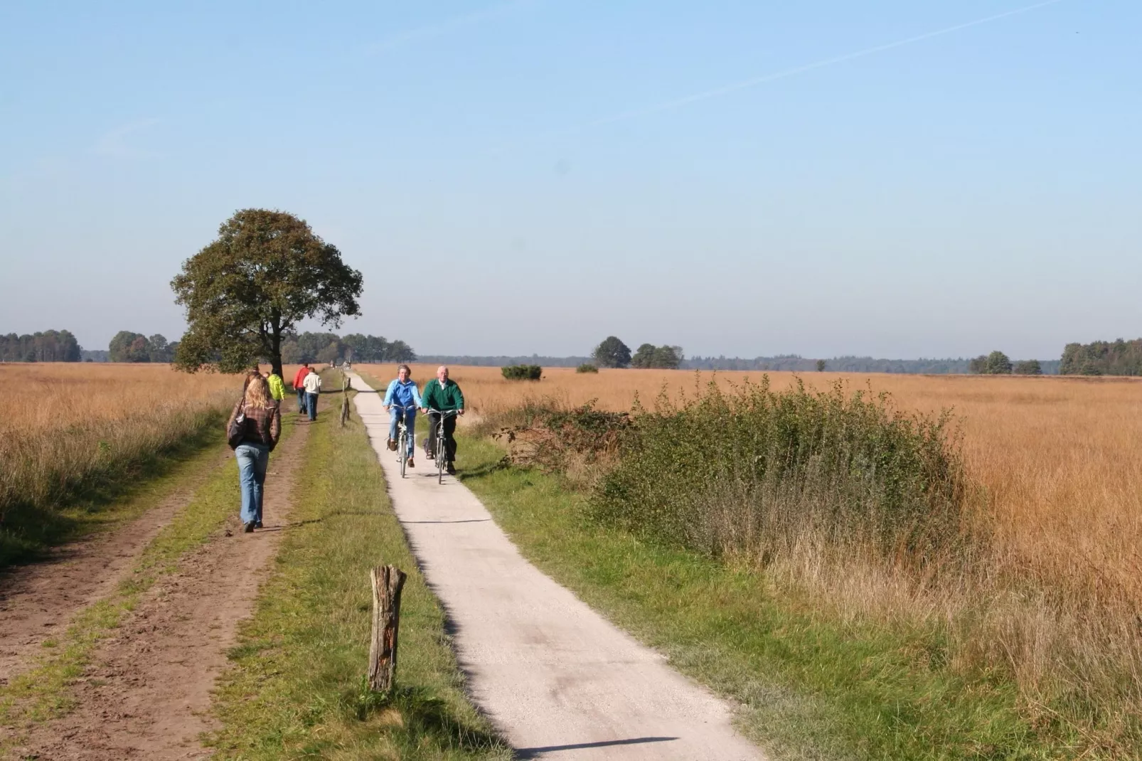 Marke van Ruinen 1-Gebieden zomer 1km