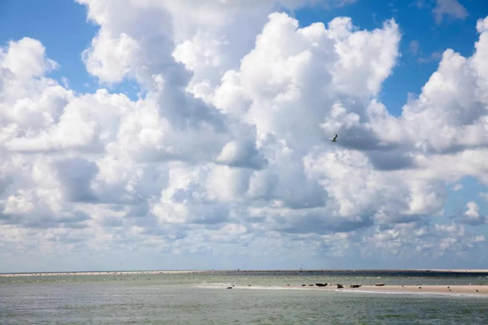 Resort Beach Houses Julianadorp 1-Gebieden zomer 5km