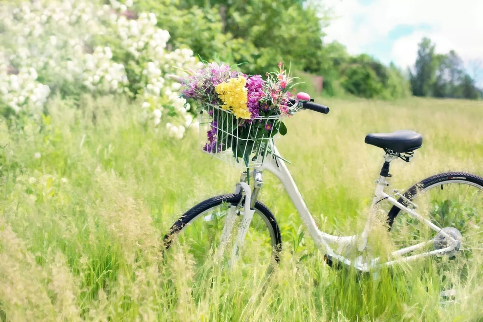 Domek PREMIUM dla 5 osób Sarbinowo-Gebieden zomer 5km