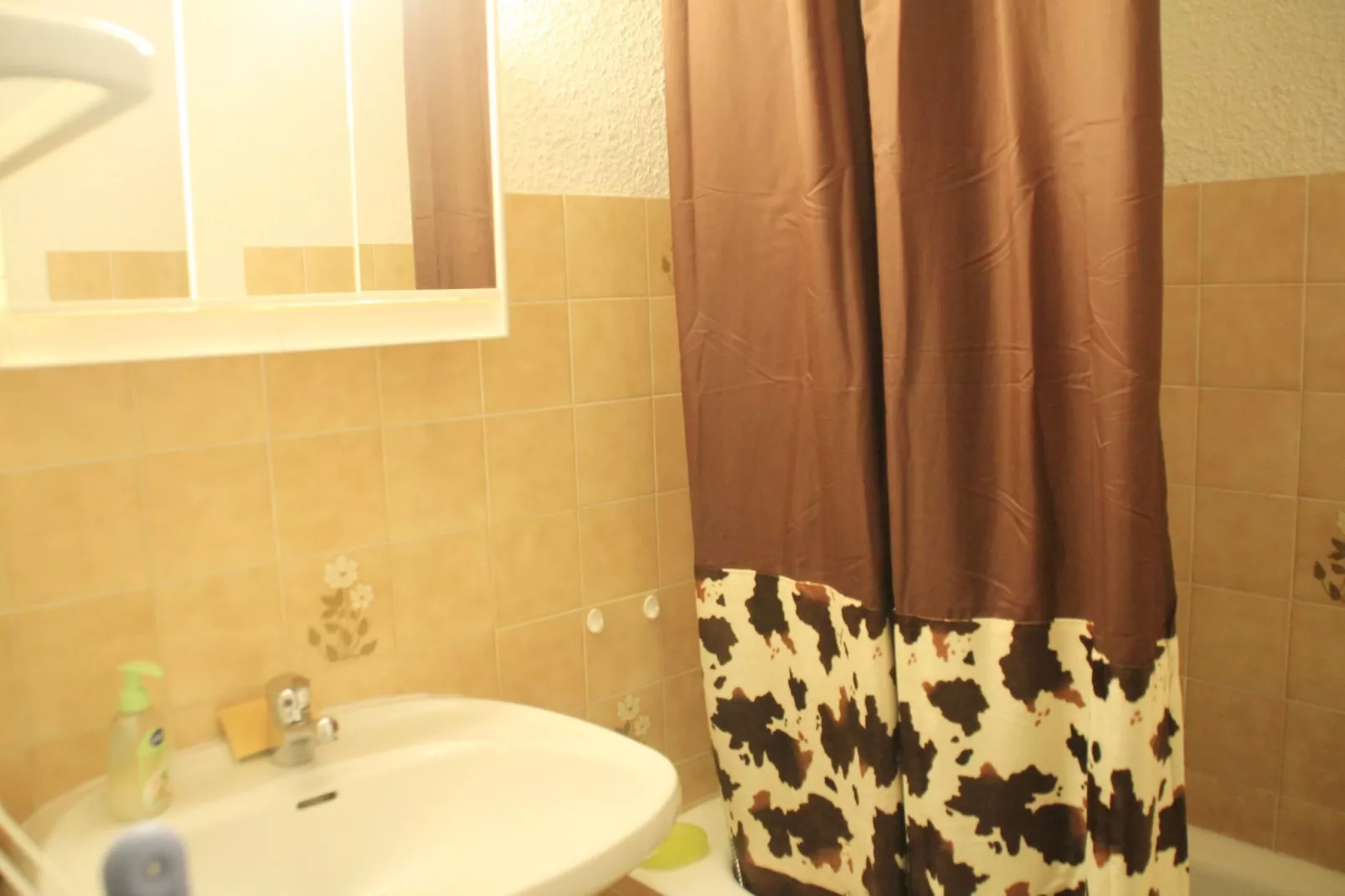 Alpenlake AP120 VIEW & NATURE 5 pers.-Badkamer