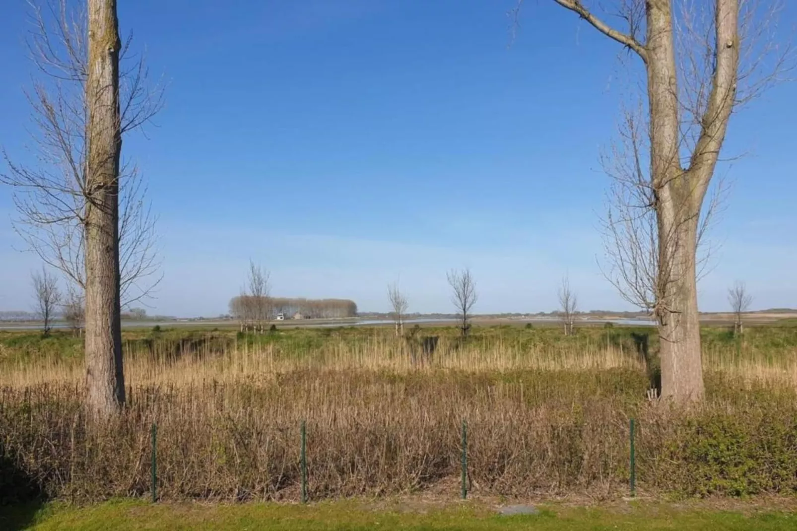 Het Platte Putje - Huisdier - nr 2-Gebieden zomer 20km