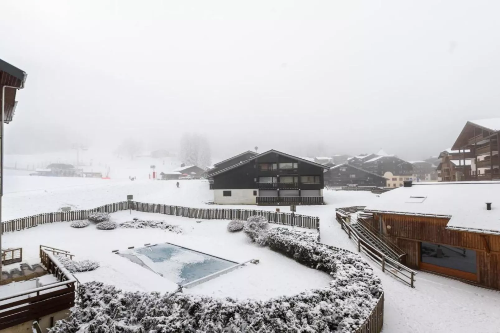 NIVEOLES B N°01 - 3P6-Gebied winter 1km