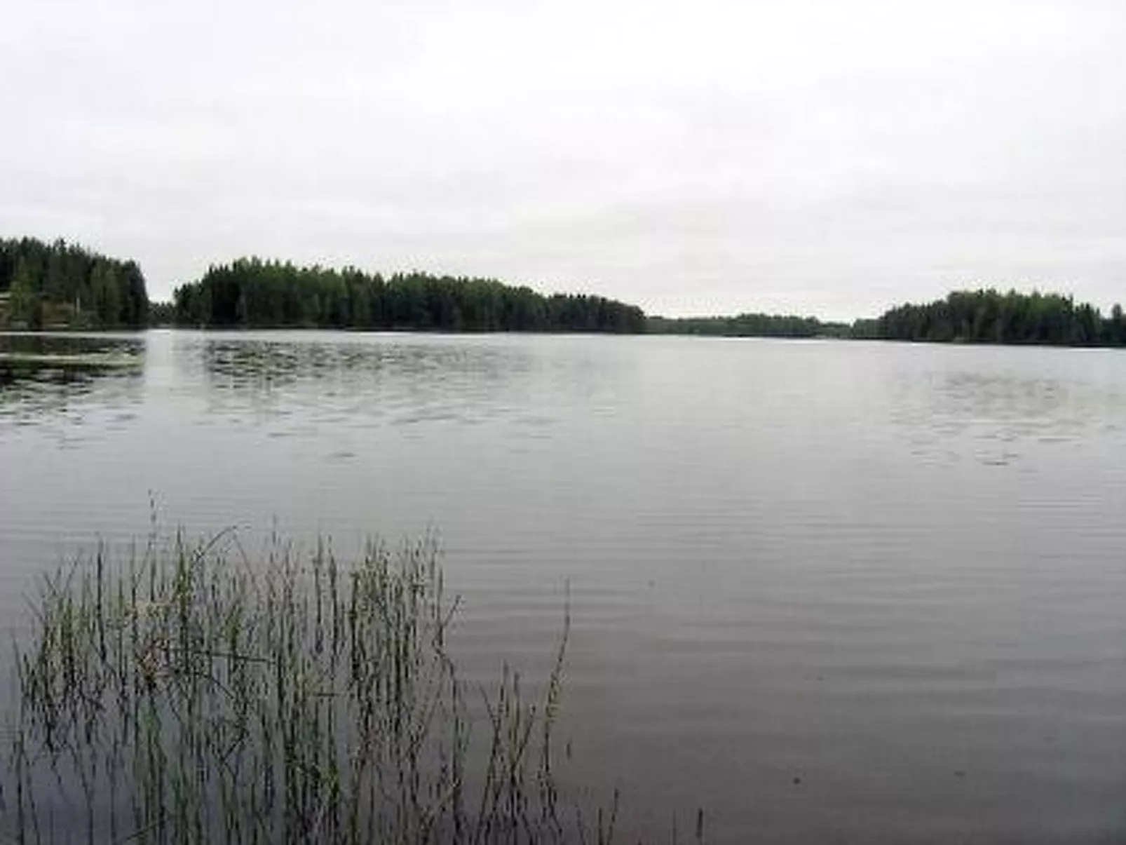 Kärkelä-Buiten