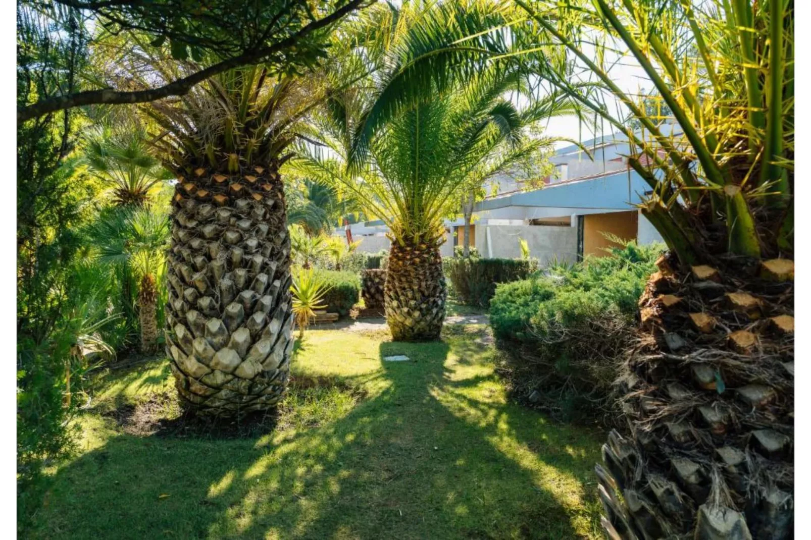 Residence Park Solemaremma 2-Zi-App Classic A BK/TE 30 qm-Tuinen zomer
