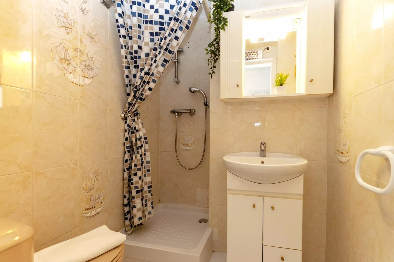 1216 THALASSA Estudio