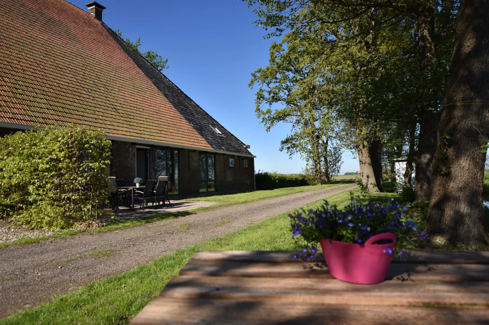 Berkenhof 8 personen-Buitenkant zomer