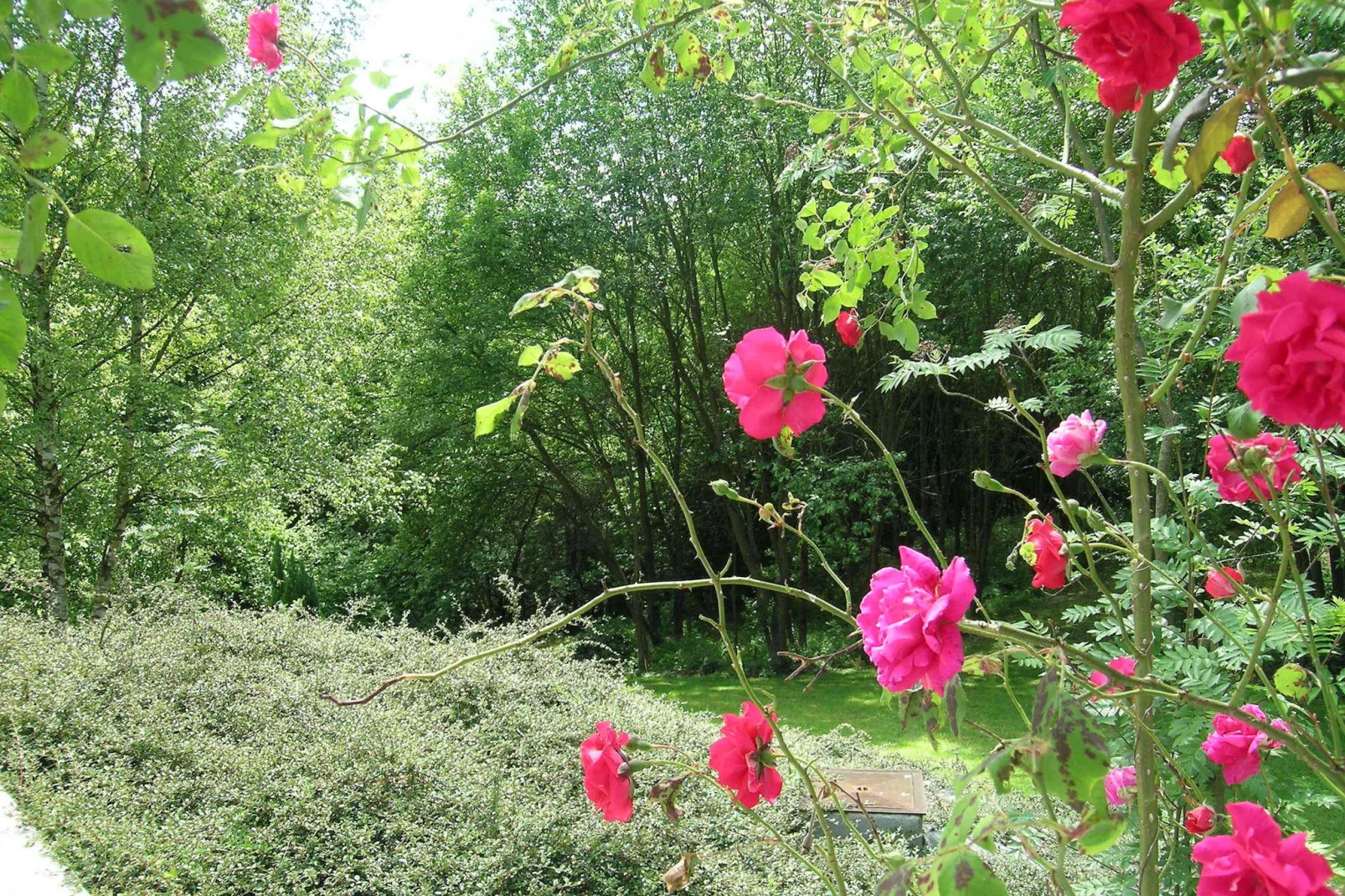 Domaine De L'Ecureuil 4-Tuinen zomer