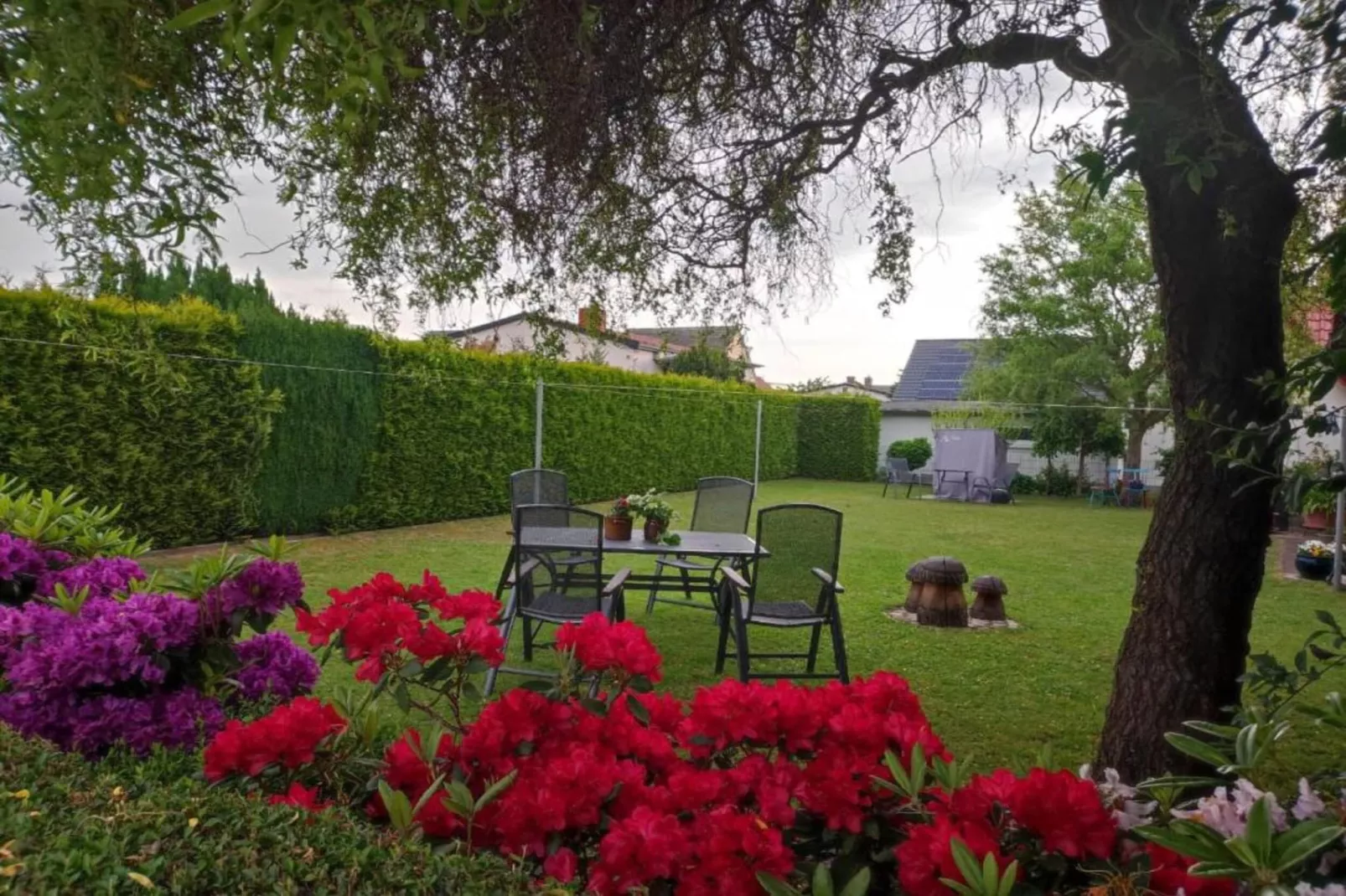 Schwalbenhof im Reetdachhaus-Gebieden zomer 20km
