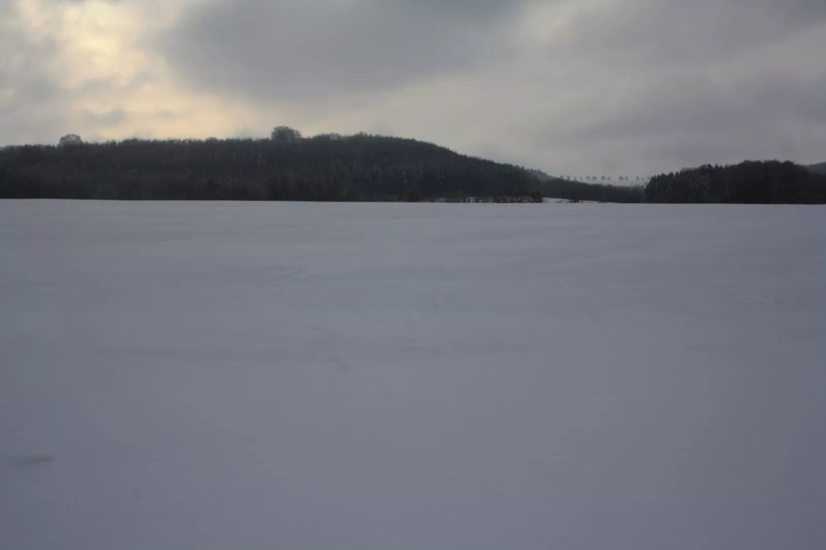 Reeenheuvel-Gebied winter 20km