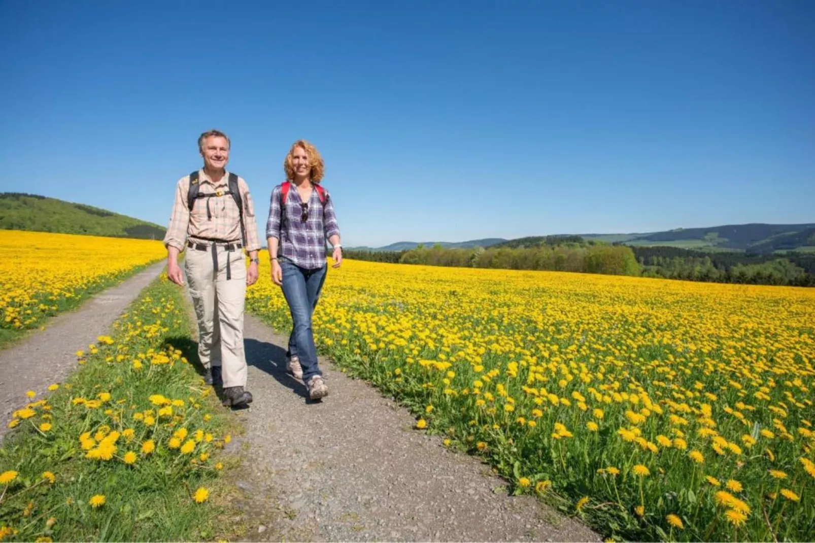 Sauerlandstuben-Gebieden zomer 20km