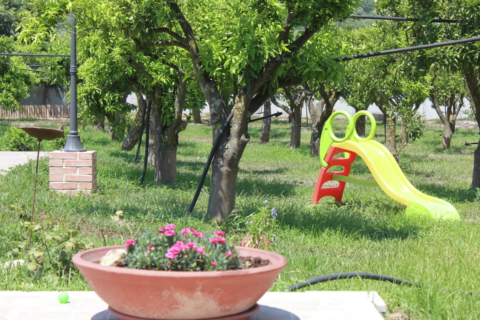 Casale tra gli Agrumi-Tuinen zomer