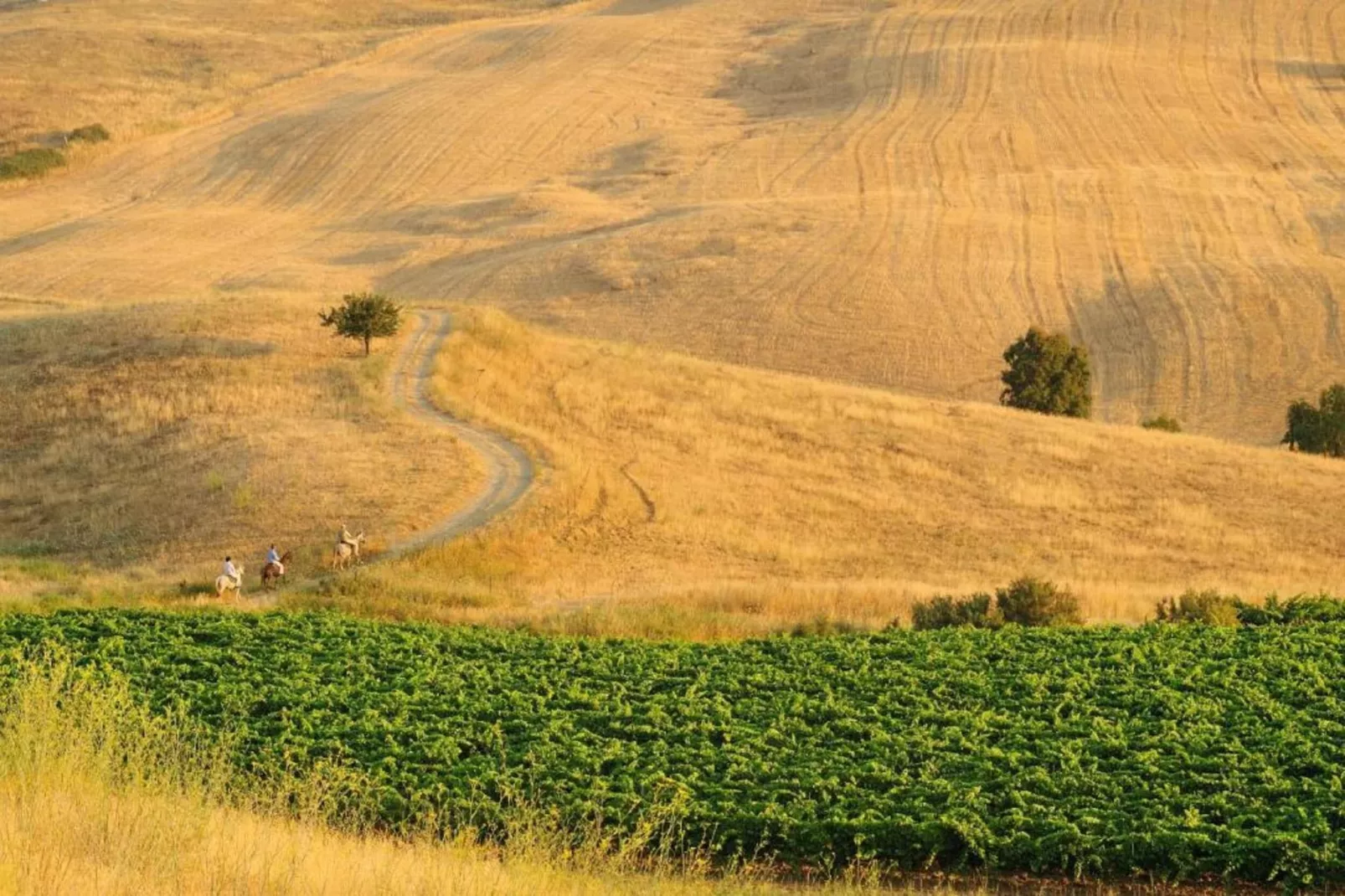 Al Lago-Gebieden zomer 20km