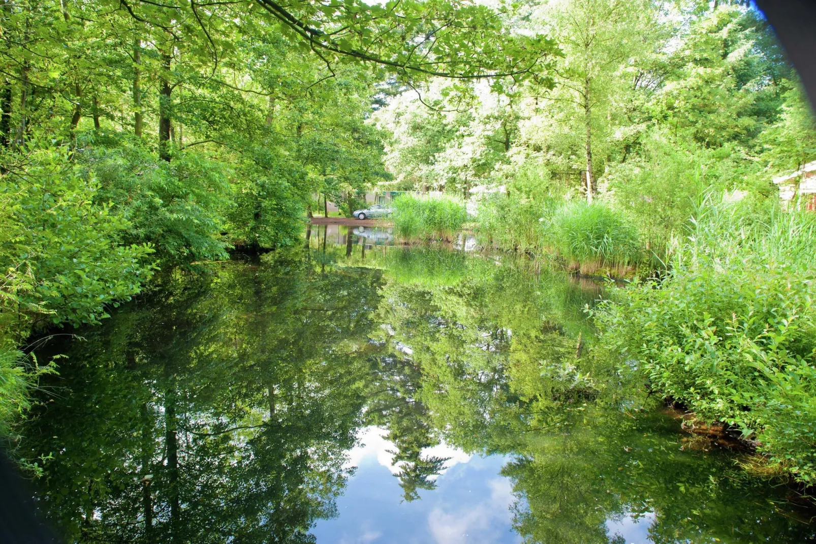Vakantiepark de Berkenhorst 2-Uitzicht zomer