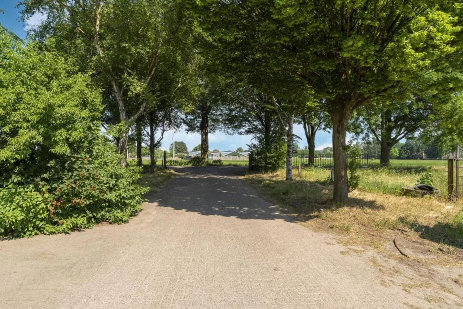 Kabinet & Dekenkist-Gebieden zomer 20km