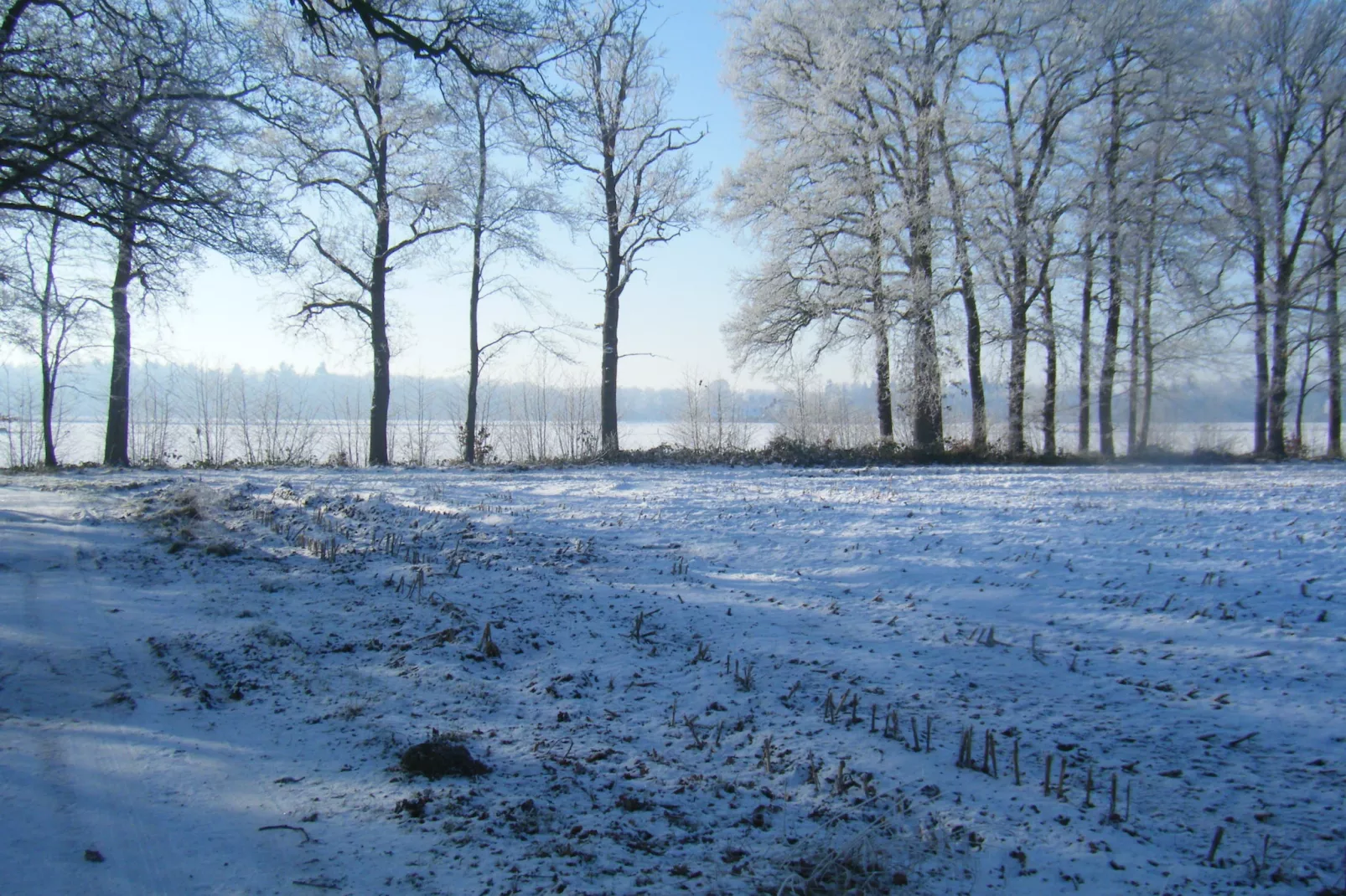 Zonnenberg 34-Gebied winter 1km