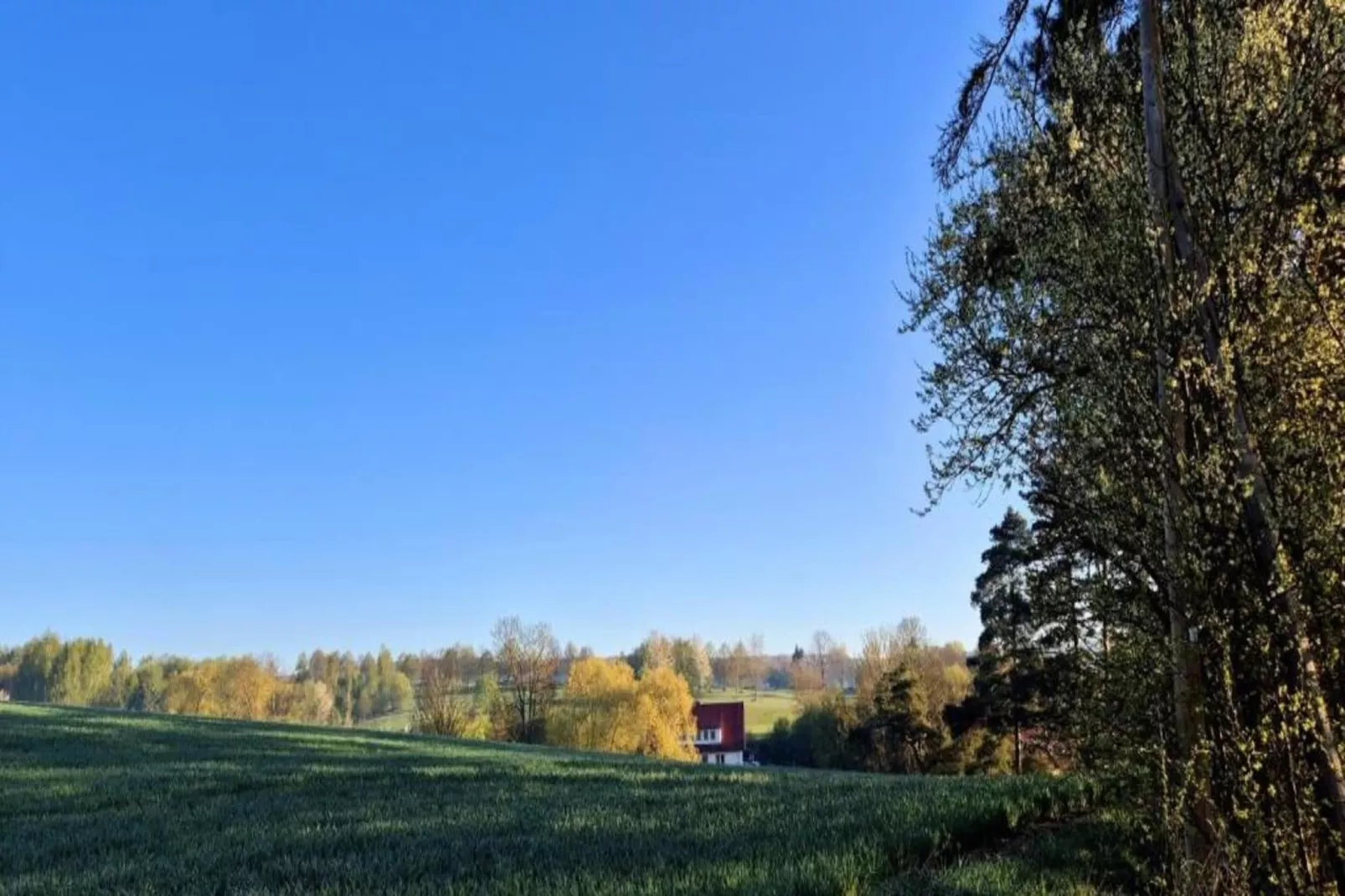 Chalet am Bergflüsschen-Gebieden zomer 20km