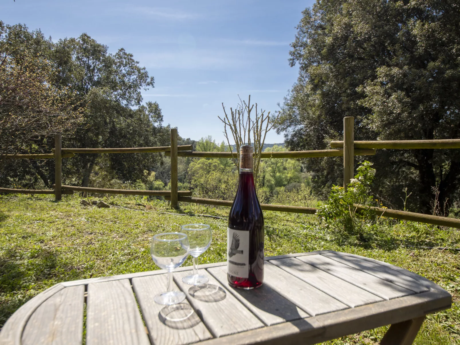 Domaine de Sévenier-Buiten